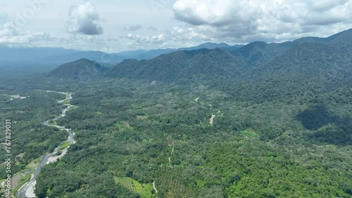 Lush green expanse of nature that stretches far and river water. Aerial photo