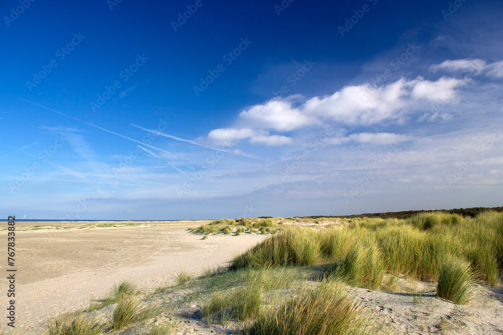 Obraz premium the dunes landscape in Renesse, Zeeland, the Netherlands