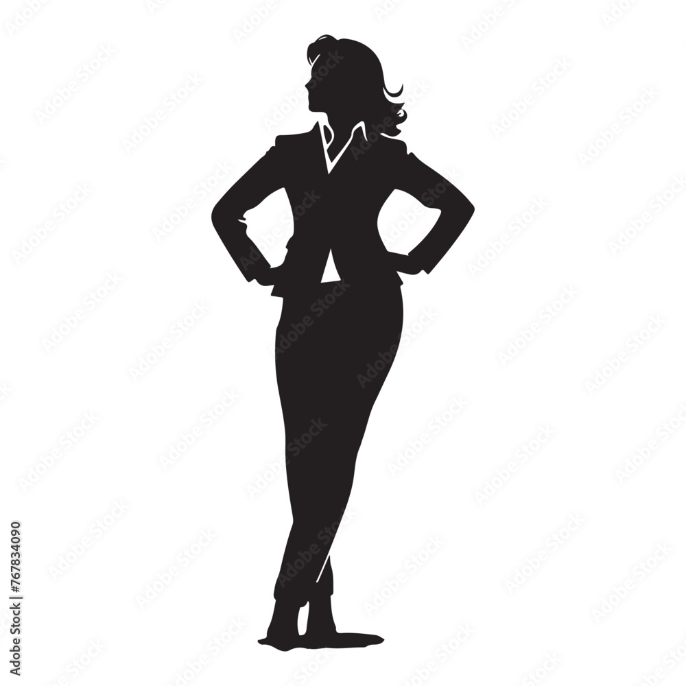 Fototapeta premium Businesswoman presentation silhouette
