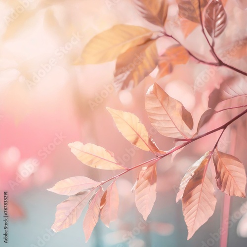 autumn background with leaves ,morning 