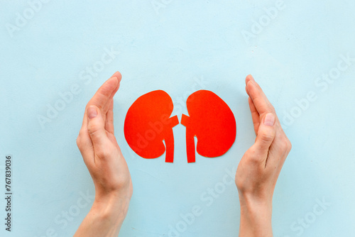 Paper kidneys organ model in human hands, top view. Medical concept