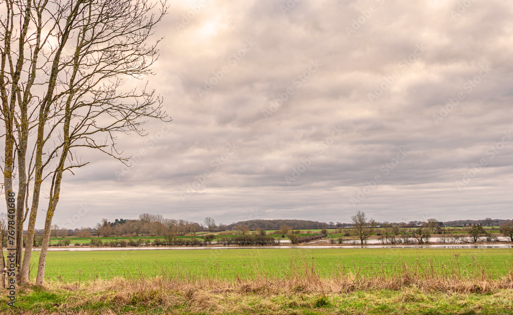 Obraz premium Landscape with flooded fields.