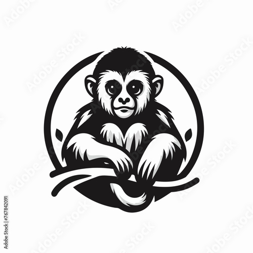 Gibbon primate mammal. Monkey in wildlife. Vector