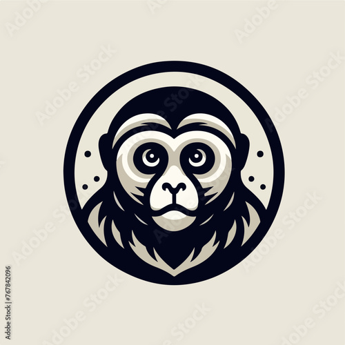 Gibbon primate mammal. Monkey in wildlife. Vector