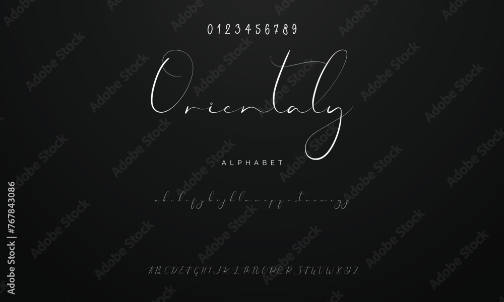 Lettering signature font isolated on background. brus style alphabet. Vector logo letters.