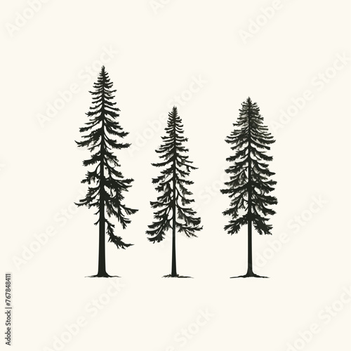 Redwood tree   Minimalist and Simple set of 3 Line White background