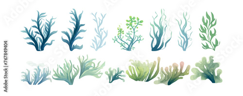 Ocean plants marine foliage vector