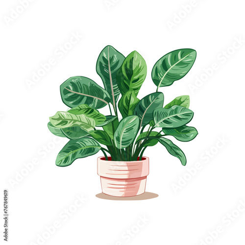 Potted house plant. Foliage houseplant growing in flowerpot. Green leaf decoration for home interior. Natural indoor decor. Hand draw vector illustration isolate