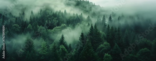 Mystical Forest Scene: Vintage View with Fog