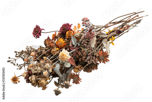 Tea herbs and flowers isolated