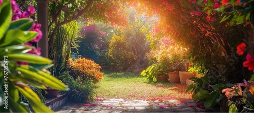 Bougainvillea colourful in the garden