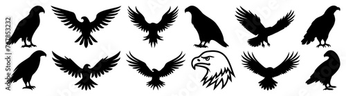Eagle silhouette set vector design big pack of illustration and icon © Catnip