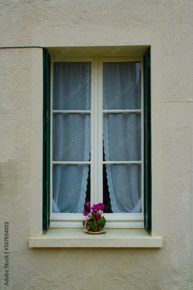 A window of a house with a plant on the ledge...