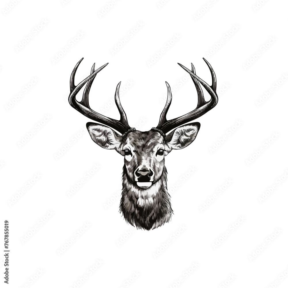 Naklejka premium deer Vector drawing illustration black and white engrave isolated illustration