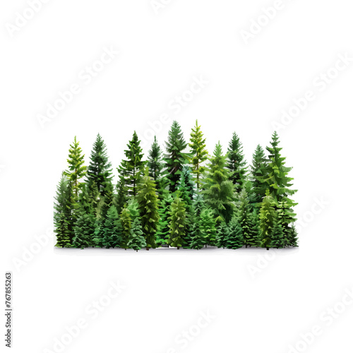 Coniferous forest  seamless border  isolated on white background