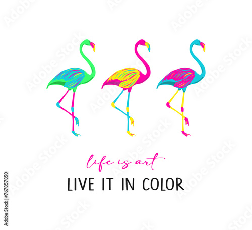 Decorative slogan with colorful flamingos, vector design for fashion, card, poster prints