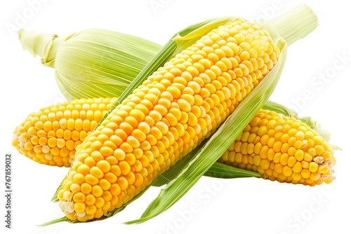 A fresh yellow ear of corn on the cob with green husks, isolated on a white background