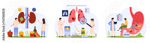 Diagnosis of chronic diseases of internal organs by doctors set. Tiny people check kidneys of patient for stones, study inflammation in lungs and human stomach problem cartoon vector illustration