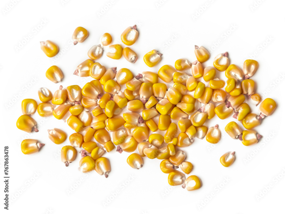 Fototapeta premium corn isolated on white background