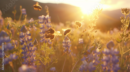 in the good morning sunlight, bees fly, collecting nectar and pollen from flowers while pollinating, the usefulness of insects and the process of making honey photo