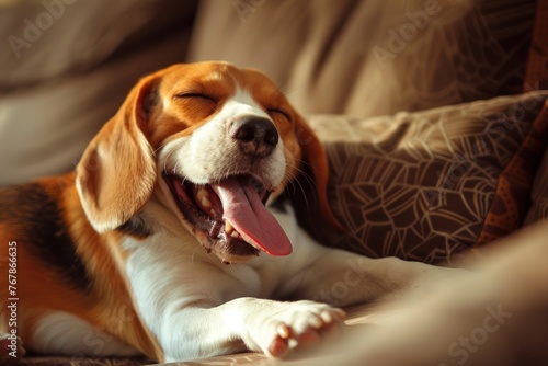 Cozy Beagle Enjoying a Relaxing Yawn on a Comfy Sofa - Generative AI © Gelpi