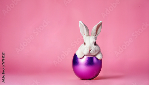 Easter pink rabbit in egg