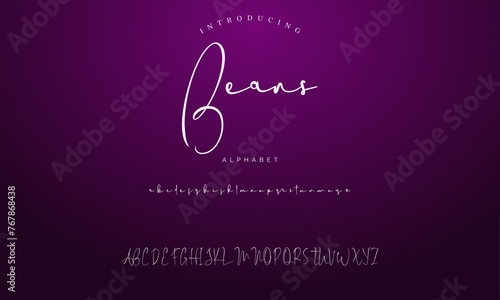 signature Font Calligraphy Logotype Script Brush Font Type Font lettering handwritten