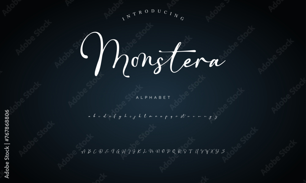 signature Font Calligraphy Logotype Script Brush Font Type Font lettering handwritten