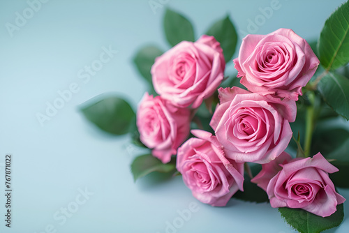 pink roses bouquet on blue background