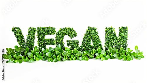 word vegan written in grass and leaves