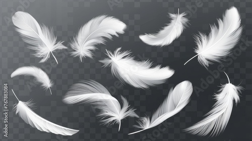 A modern illustration showing white fluffy twirled feathers falling on a transparent background in a realistic style
