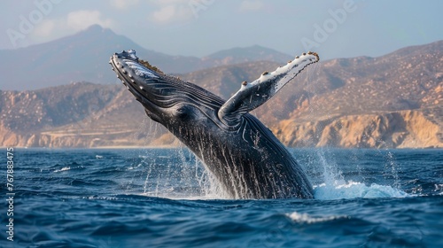 Blue whale jump out from Ocean © Nataliya