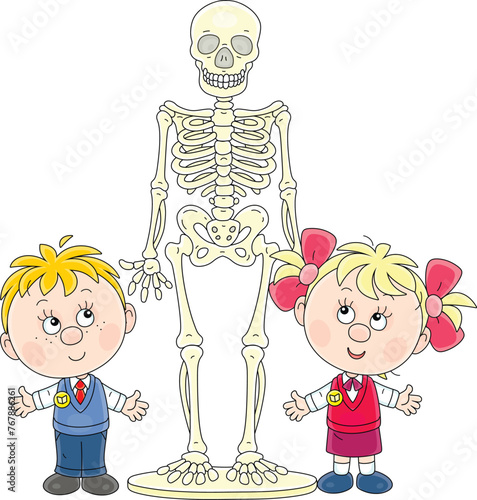 Funny little schoolboy and schoolgirl studying a structure of a human skeleton at an Anatomy lesson in an elementary school class, vector cartoon illustration on a white background