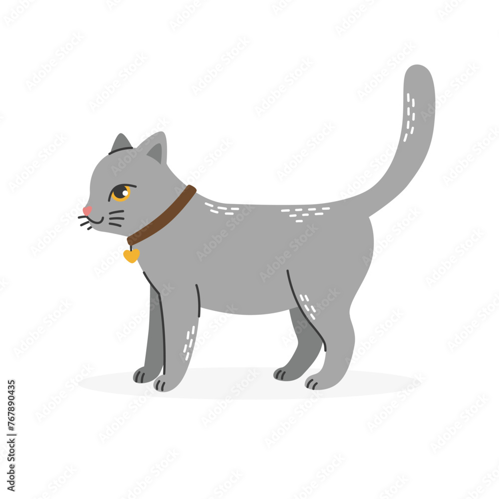 A gray cat with a pendant and a collar on his neck stands sideways.Pets.Flat cartoon vector illustration isolated on a white background