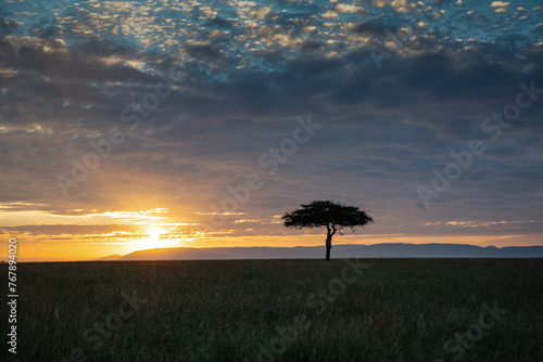 Massai Mara Abendstimmung in Kenia 