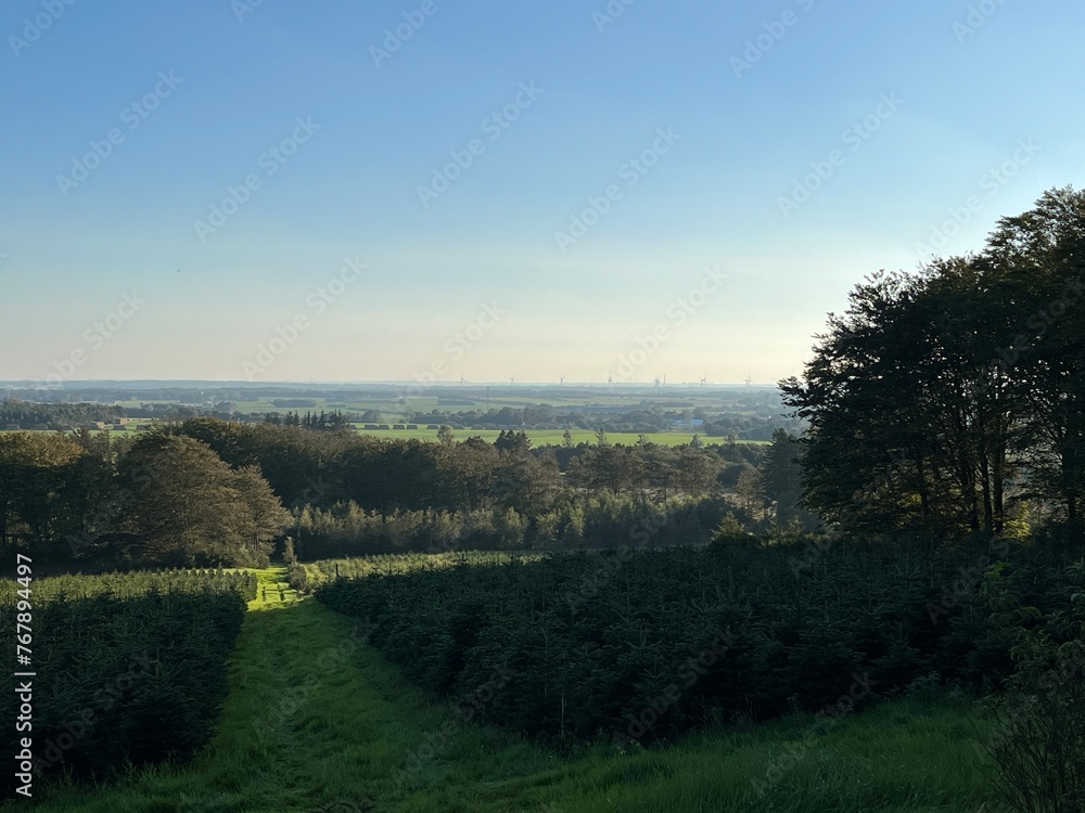 morning in the countryside morning in the countryside