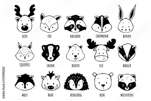 head cute animal vector hand drawing children's illustration. head woodland animal vector sketch