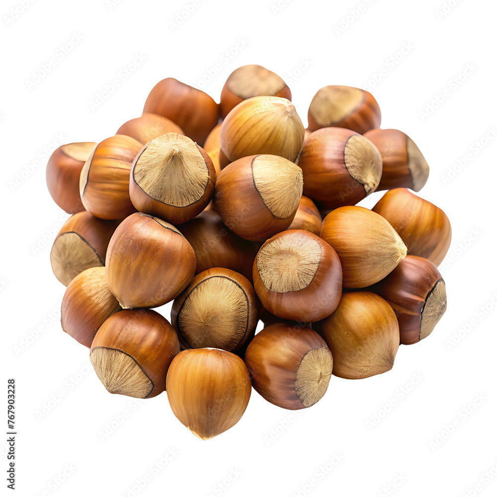 Hazelnut on a transparent background. Hazelnut on a transparent background.