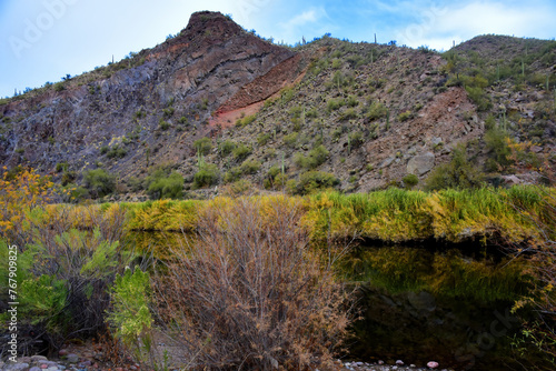 Salt River Recreation Area Arizona