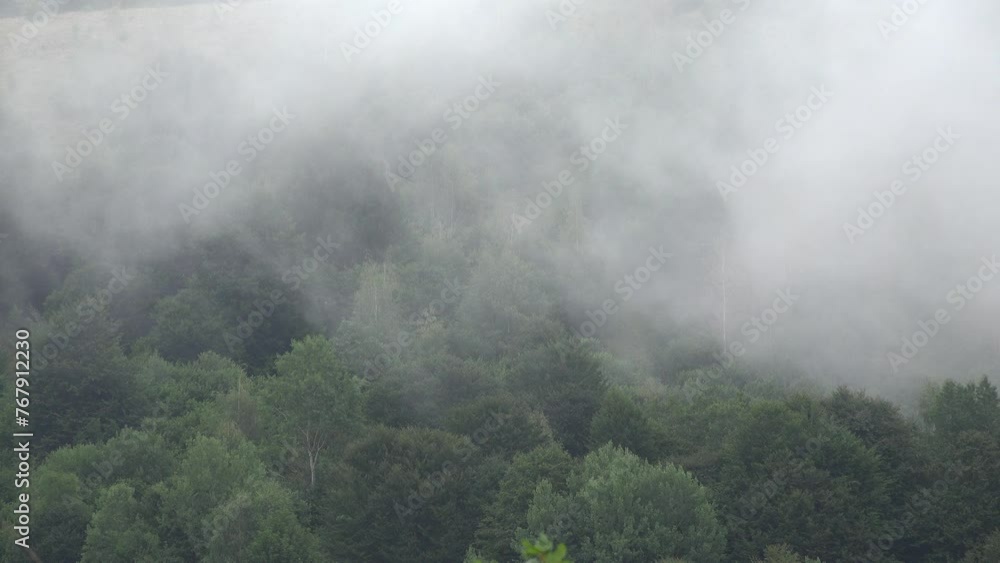 Fog in Mountains, Raining in Forest, Smoke, Mystical View, Foggy in Alpines, Mysterious Scary Scenery, Clouds in Wood, Timelapse Fog in Mountains, Raining in Forest, Smoke, Mystical View, Foggy in Alpines, Mysterious Scary Scenery, Clouds in Wood, Timelapse