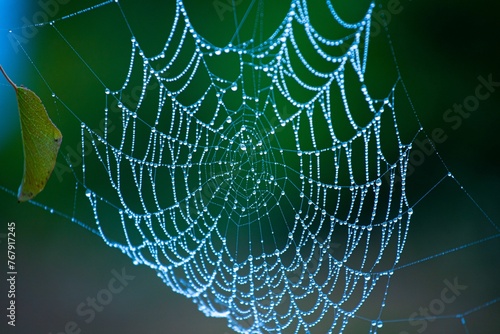 Close-up image of a spider web adorning the exterior of a spider