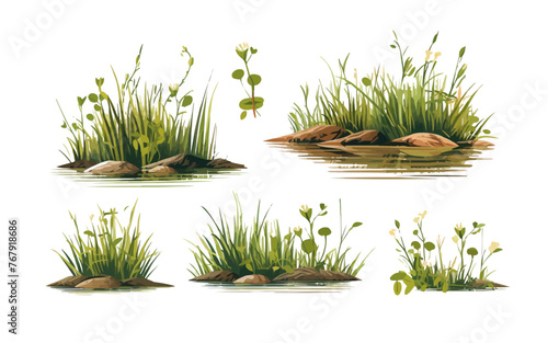 marsh vegetation set isolated vector style with transparent background illustration