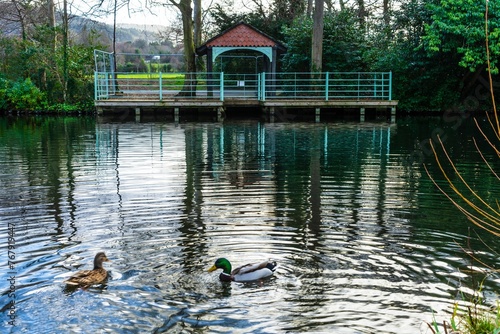 Photography Marley Park in South Dublin Ireland