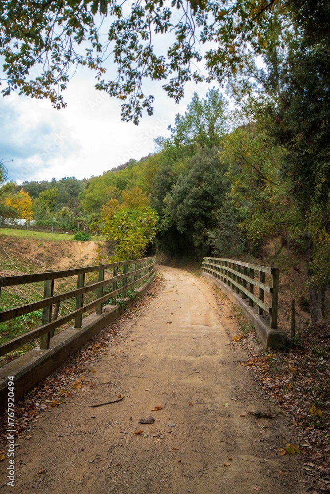 Wooden bridge across a picturesque pathway, leading to an open field with lush green grass