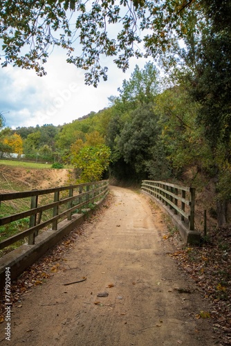 Wooden bridge across a picturesque pathway, leading to an open field with lush green grass