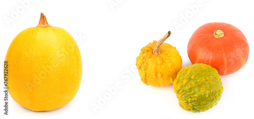 A set of Pumpkins isolated on a white. Wide photo. Collage. Free space for text.