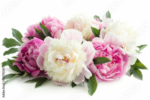 Beautiful pink and white peony flowers isolated on white background  floral arrangement