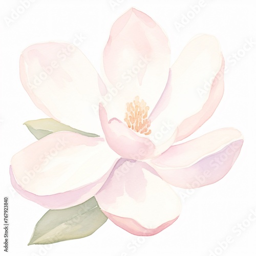 A watercolor magnolia its grand bloom opening wide on a white canvas a testament to natures elegance
