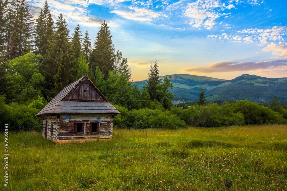 Old, rustic cabin situated on a lush green meadow surrounded by trees. Chamkova stodola, Slovakia.