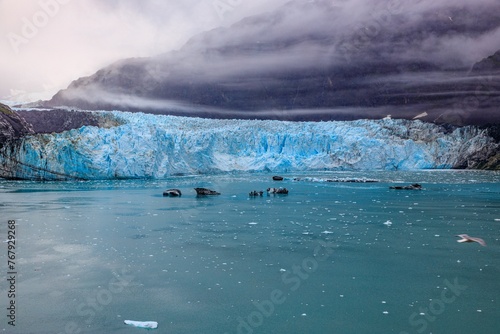 Vibrant blue glacier melting into a body of water: Glacier Bay National Park